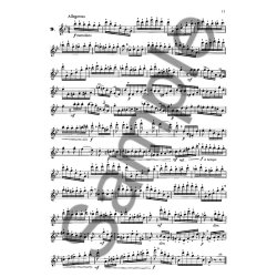Ernesto Kohler: The Flautist's Progress Op.33 Book 1