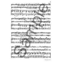 Bach, Wf: Sonata D Major