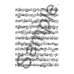 C.P.E. Bach: Sonate A Moll