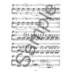 Franz Strauss: Thema Und Variationen Op.13