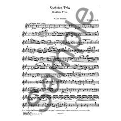 Kummer: Trio Op 59/6
