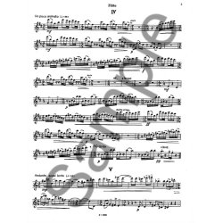 Berger: 6 Little Pieces