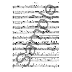 Der Junge Fltist Solostimme