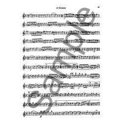 Der Junge Fltist Zweite Stimme