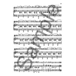 Der Junge Fltist Klavierbegleitung