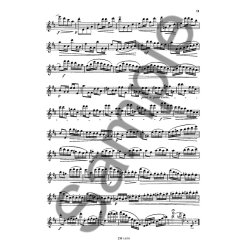 24 Knstler-vortragsstudien Fr Flte S