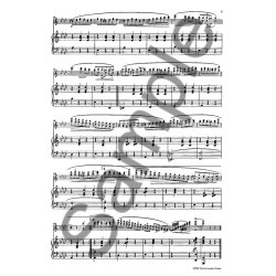 Chopin: Minute Waltz Op 64/1