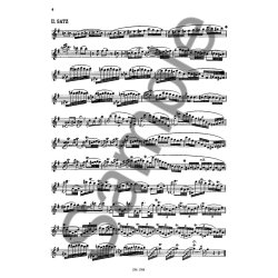 Kadenzen Zu Den Fltenkonzerten G-dur