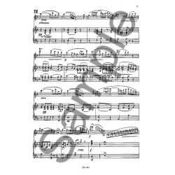 Furstenau: Concerto D Major Op 84/8