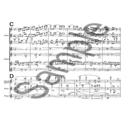 Spiele Fr Flten Op. 38 (1-15 Instrum