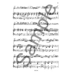 Lachner: Concerto D Minor