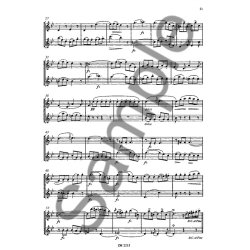 Flten-journal Fr 2 Flten Heft 2