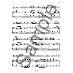 Konzert G-dur Fr Flte Und Klavier