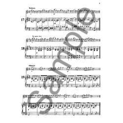 Popp: Studies Op 258