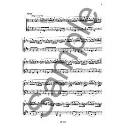 Berbiguier: Duo Op 76/1