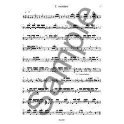 Darabukka-suite (B. Bongo, C. Conga)