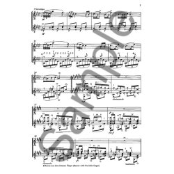 Antonin Dvorak: Zwei Humoresken Op.101