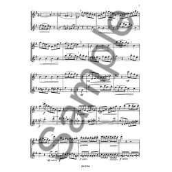 Mozart: Duet On Violin Sonata K 304