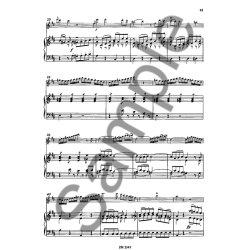 Mozart: Quartet G Major K 285a + D Major K285