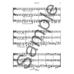 Brahms: Orchestral Studies