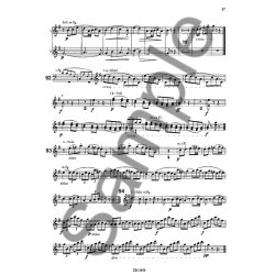 Beethoven: Orchestral Studies : Symphonies