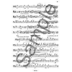 Beethoven: Orchestral Studies: Non Symphonic