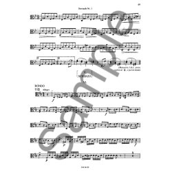 Johannes Brahms: Orchestral Studies (Viola)