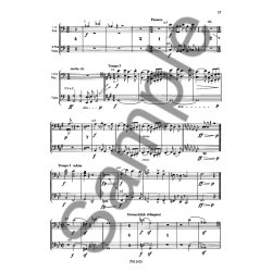 Mahler: Orchestral Studies: Symphonies 7-10