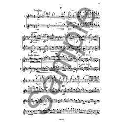 Gustav Mahler: Orchestral Studies For Violin