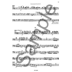 Mozart: Orchestral Studies Volume 2: Concertos