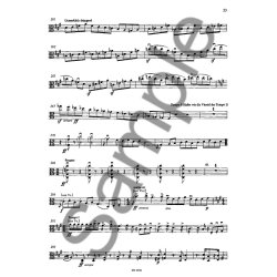 Mahler: Orchestral Studies: Symphonies 7-10