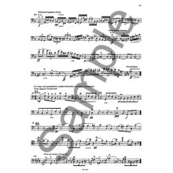 Gustav Mahler: Orchestral Studies