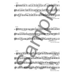 Flte Ben Aber Richtig Heft 4 Intonat