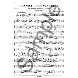Molino, V: Grand Trio Op 10