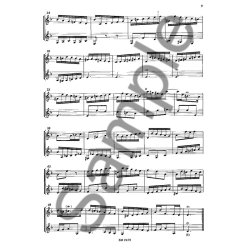 Bachs Pdagogik Fr 2 Gitarren