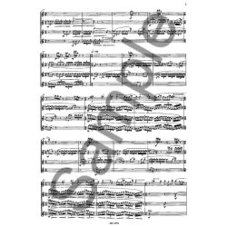 Hofmann: Cantus Avium