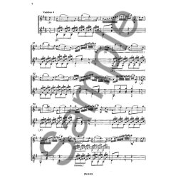 Vanhal: Variations Op 42