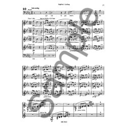 Wagner: Orchestral Studies: Ring Cycle Vol 2