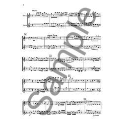 Georg Philipp Telemann: Concerto For 4 Flutes