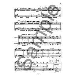 Orchestral Studies: Johannes Brahms - Symphonies