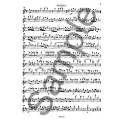 Buchner: 5 Duets Op 42