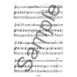 Vogel: Concerto G Major