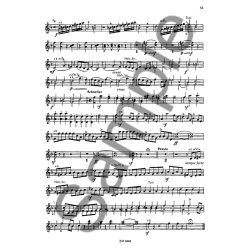 Schumann: Orchestral Studies