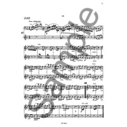 Brahms: Orchestral Studies