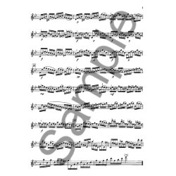 J.S. Bach: Partita In G Minor BWV 1013