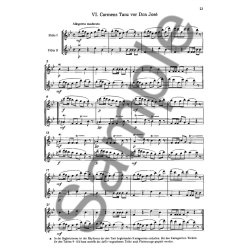 Georges Bizet: Carmen Suite (2 Flutes)