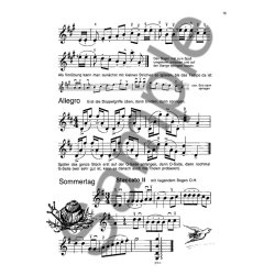 Mein Geigenliederbuch Band 2