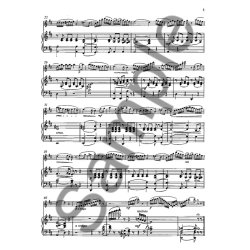 Die Zauberflte Fr Flte Und Klavier (