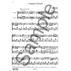 Im Rhythmus Des Ragtime Ii