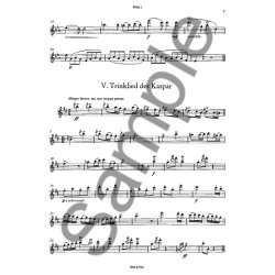 Weber, C M Von: Freischutz Impressions